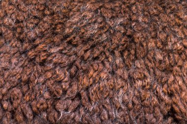 Gül gri alpaka yünü ya da lifinin yakın plan görüntüsü. Lama Pacos.