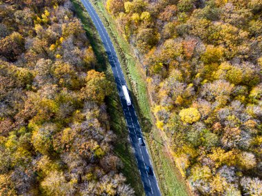 Sonbahar boyunca beyaz kamyonlu orman yolu. Gökyüzü manzaralı yol, sarı ve altın yapraklı bir ormanı geçiyor.  