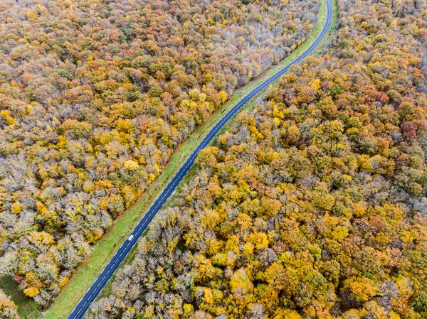 Estrada Florestal Com Carro Branco Durante Outono Estrada Vista Aérea — Fotografia de Stock