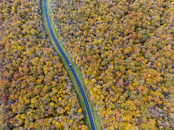 Forest Road White Car Autumn Aerial View Road Crossing Yellow — Stock Photo, Image