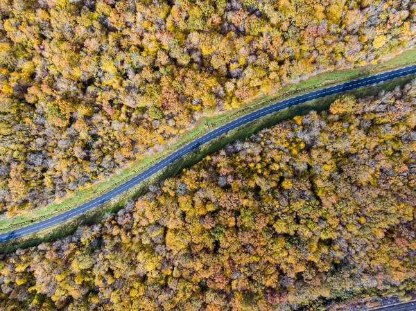 Lesní Cesta Bílým Autem Během Podzimu Letecký Pohled Silnice Přes — Stock fotografie