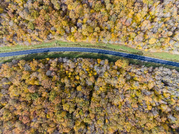Лесная Дорога Белой Машиной Осенью Вид Воздуха Дорогу Пересекающую Желтые — стоковое фото