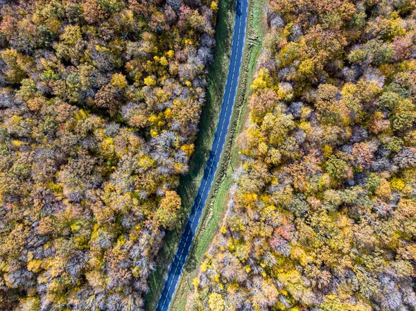 Lesní Cesta Bílým Autem Během Podzimu Letecký Pohled Silnice Přes — Stock fotografie
