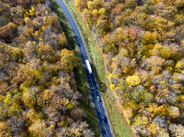 Leśna Droga Białą Ciężarówką Jesienią Widok Lotu Ptaka Droga Przecinająca — Zdjęcie stockowe
