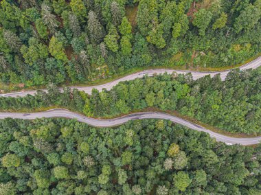 İki yol üzerindeki hava manzarası kozalaklı ormanı geçiyor.