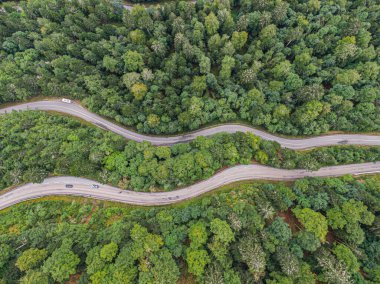 İki yol üzerindeki hava manzarası kozalaklı ormanı geçiyor.