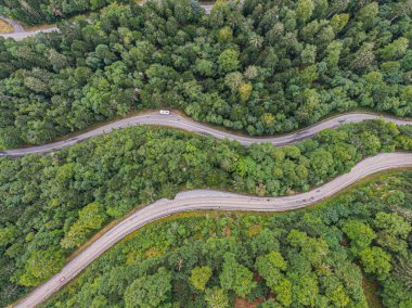 İki yol üzerindeki hava manzarası kozalaklı ormanı geçiyor.