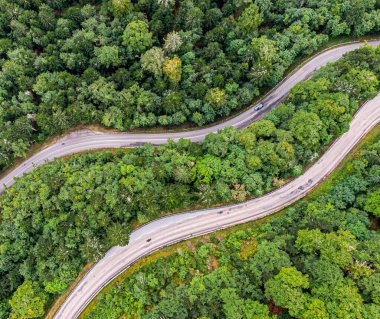 İki yol üzerindeki hava manzarası kozalaklı ormanı geçiyor.