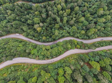 İki yol üzerindeki hava manzarası kozalaklı ormanı geçiyor.