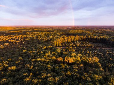 Montperche göleti üzerinde gün batımı, etang de Montperche, Sologne, Loir-et-Cher, Fransa 'da Neuvy' de. Bu gölet Chambord kalesinin yanında yer almaktadır.