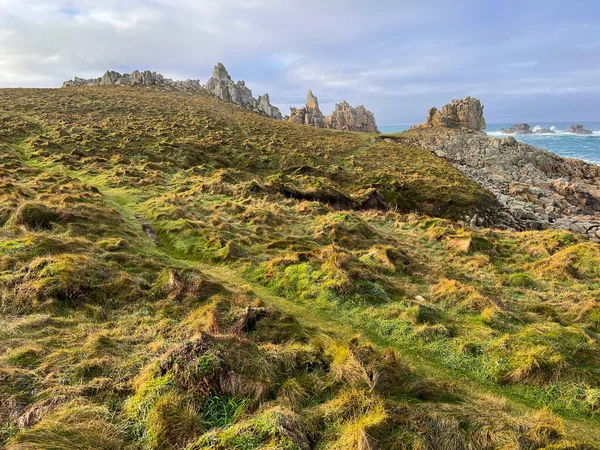 Yeşil Çimenler Üzerinde Yürüyüş Deniz Manzaralı Ushan Kırsal Manzarası Arka — Stok fotoğraf