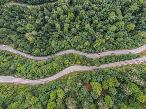 Vista Aérea Duas Estradas Que Cruzam Voges Floresta Conífera — Fotografia de Stock