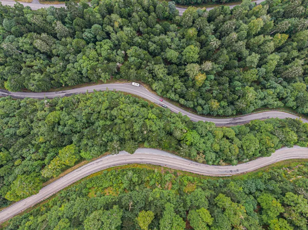 İki yol üzerindeki hava manzarası kozalaklı ormanı geçiyor.