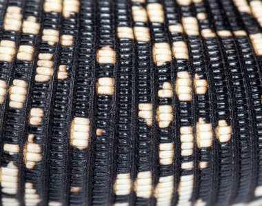 Close-up, macro of the Argentine black and white tegu scales, Salvator merianae, isolated on white