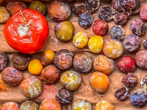 Many Rotten Small Big Tomatoes Fruits Prunes Grapes — Stock Photo, Image