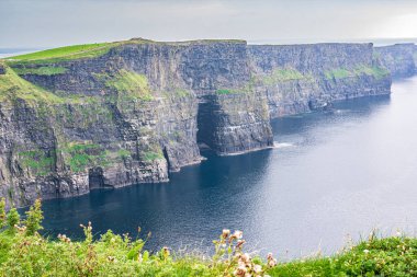 Meşhur Moher Kayalıkları, County Clare, İrlanda