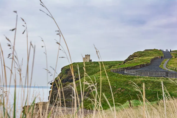 Vista Das Famosas Falésias Moher County Clare Irlanda — Fotografia de Stock