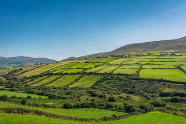 Güney Batı İrlanda 'daki N86 yolunun manzarası
