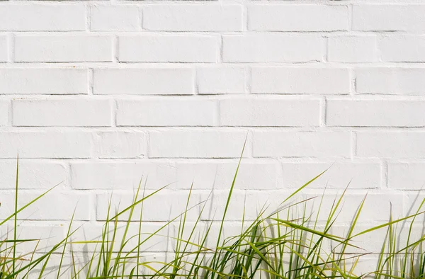 緑の草とレンガの壁 — ストック写真