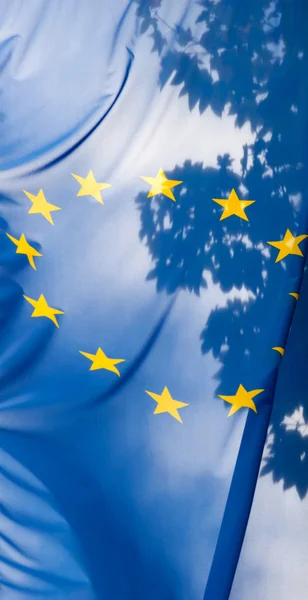Bandera de la Unión Europea contra cielo y hojas — Foto de Stock