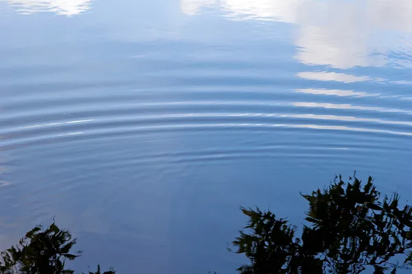 Rippel på vatten och reflektion av blad och sky — Stockfoto