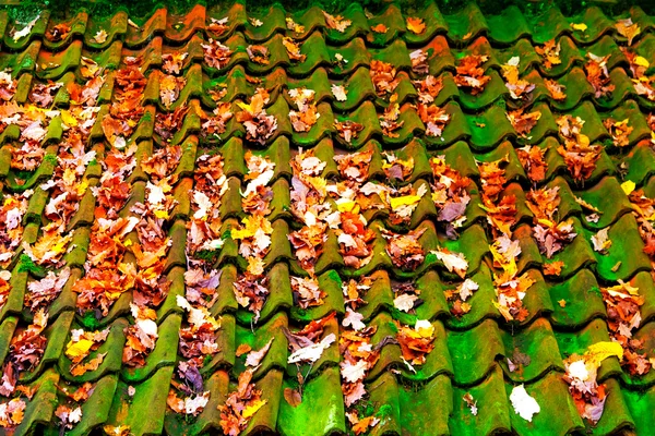 Foglie di autunno su tetto di tegola della casa — Foto Stock