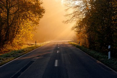 Ormanın içinden geçen yol