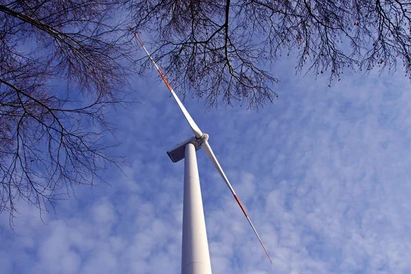 Windmühle vor blauem Himmel und Ästen — Stockfoto
