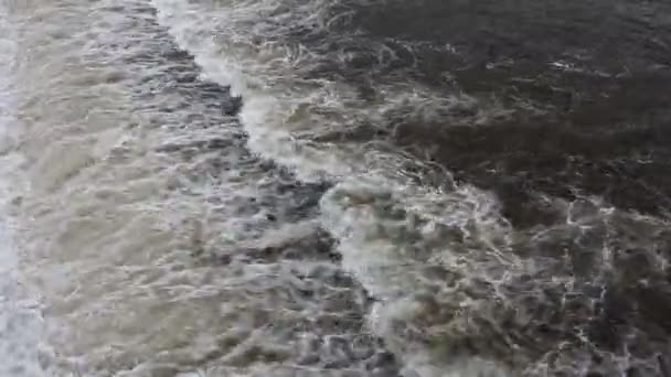 El flujo del río de agua — Vídeos de Stock