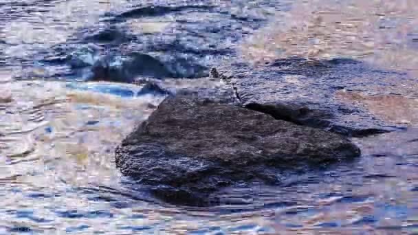 Piedras en el flujo de agua en el arroyo — Vídeos de Stock