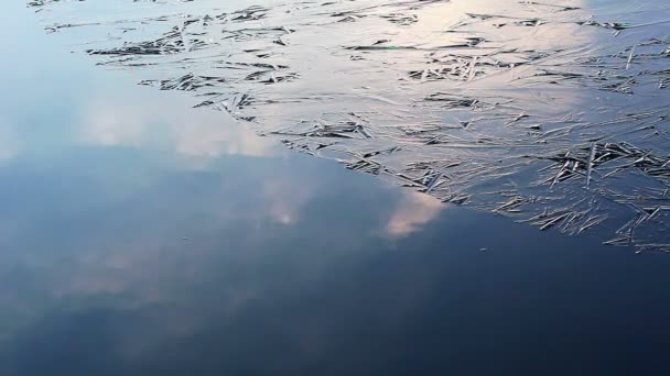 Поверхность льда на воде — стоковое видео