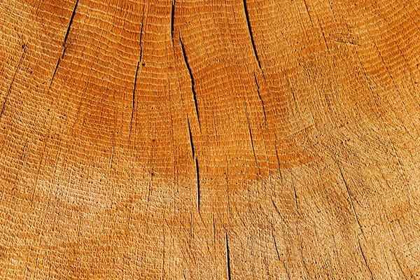 Cracked wooden background in the sunlight — Stock Photo, Image