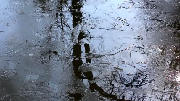Våren smältande is på en damm — Stockvideo