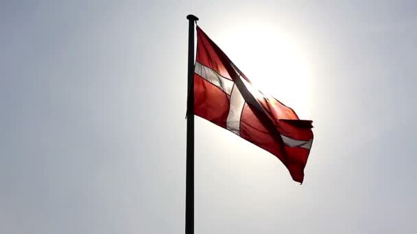 Danska flaggan mot solen — Stockvideo