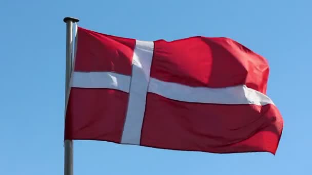 Flagga Danmark mot himlen — Stockvideo