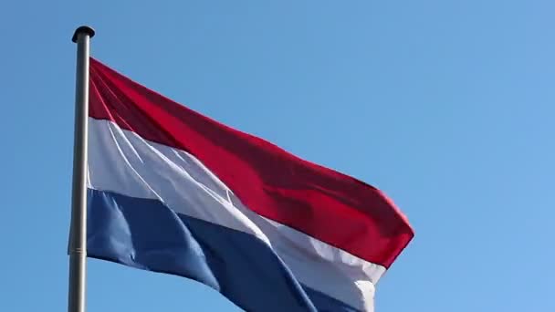 Dutch flag against the blue sky — Stock Video