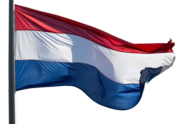Holland flagga i vinden på vit bakgrund — Stockfoto