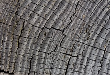 ahşap arka plan gri ve kırık