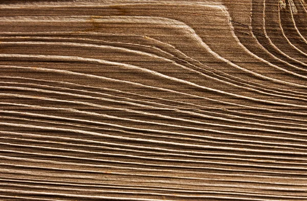 Texture de la surface en bois à la lumière du soleil — Photo