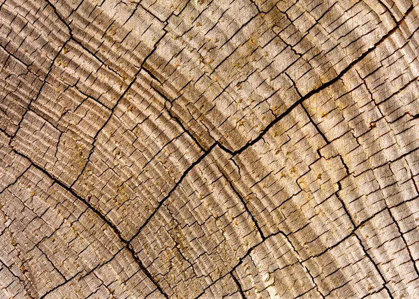 Textur der Holzoberfläche im Sonnenlicht — Stockfoto
