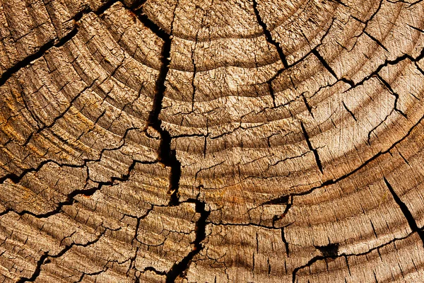 Texture of wooden surface and cracks — Stock Photo, Image