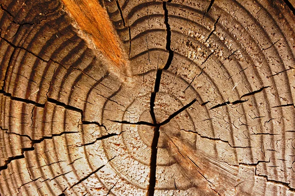 Texture della superficie in legno con fessure e nodi — Foto Stock