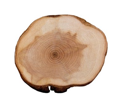 beyaz zemin üzerine ahşap dilim