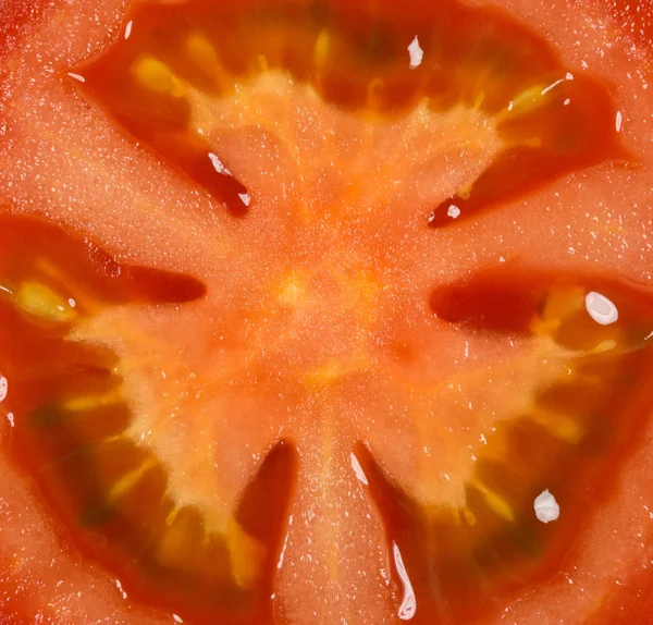 Close up de fundo de tomate — Fotografia de Stock