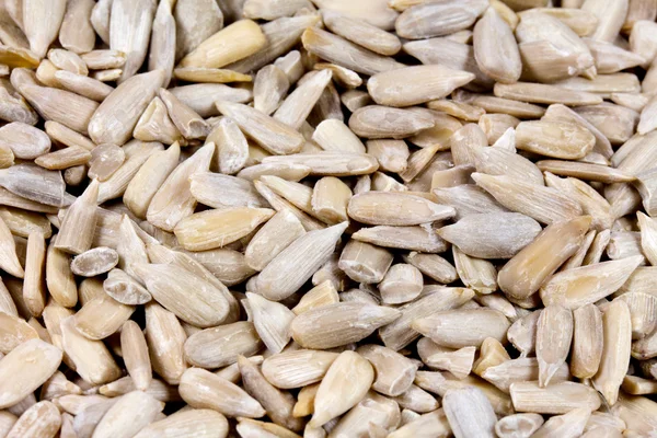 Close up of shelled sunflower seeds — Stock Photo, Image