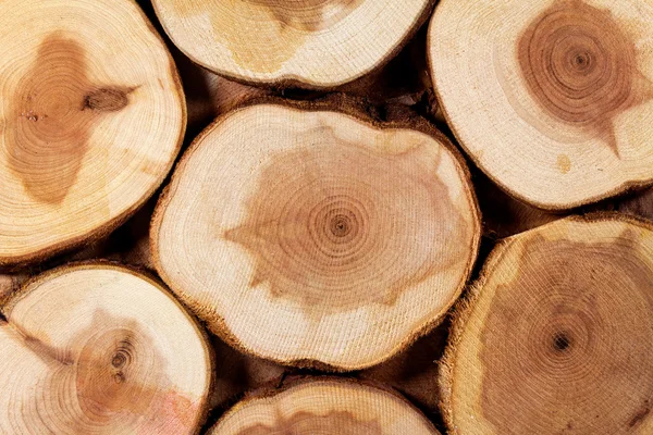 木材のスライスのクローズ アップ — ストック写真