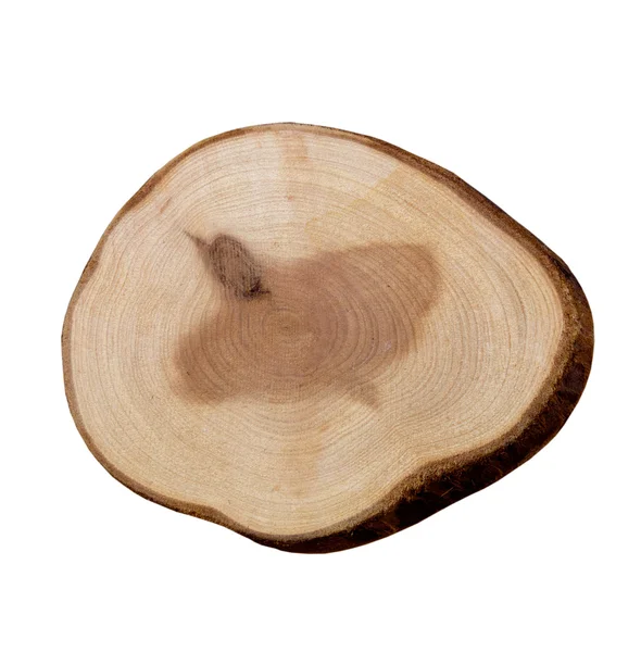 Wood slice on a white background — Stock Photo, Image