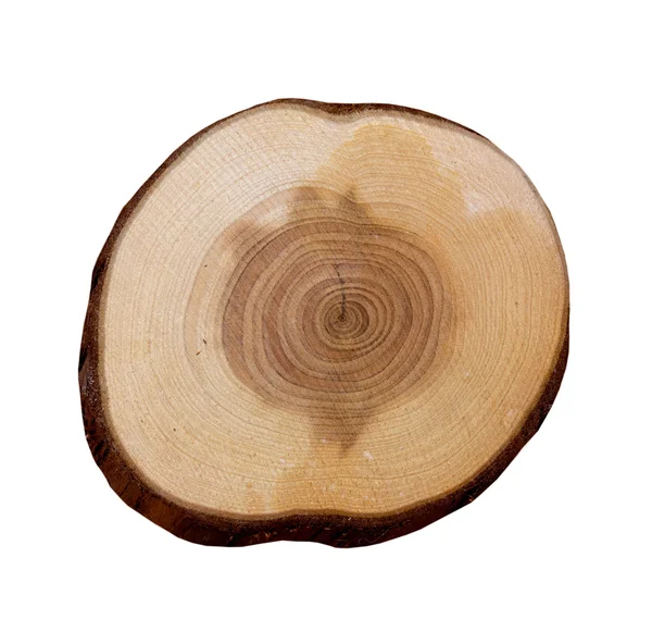 白い背景の上に木造のスライス — ストック写真