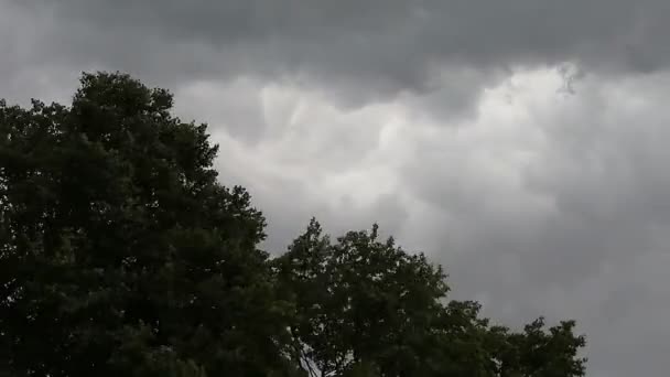 Donkere wolken in de hemel en bomen — Stockvideo