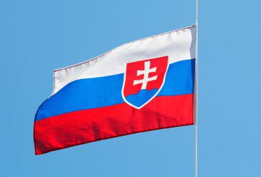 rüzgara karşı bir gökyüzü Slovakya bayrağı